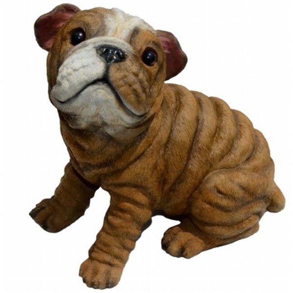 Michael Carr Designs Michael Carr Designs MCD80106 Bully-Bulldog Puppy; Medium MCD80106